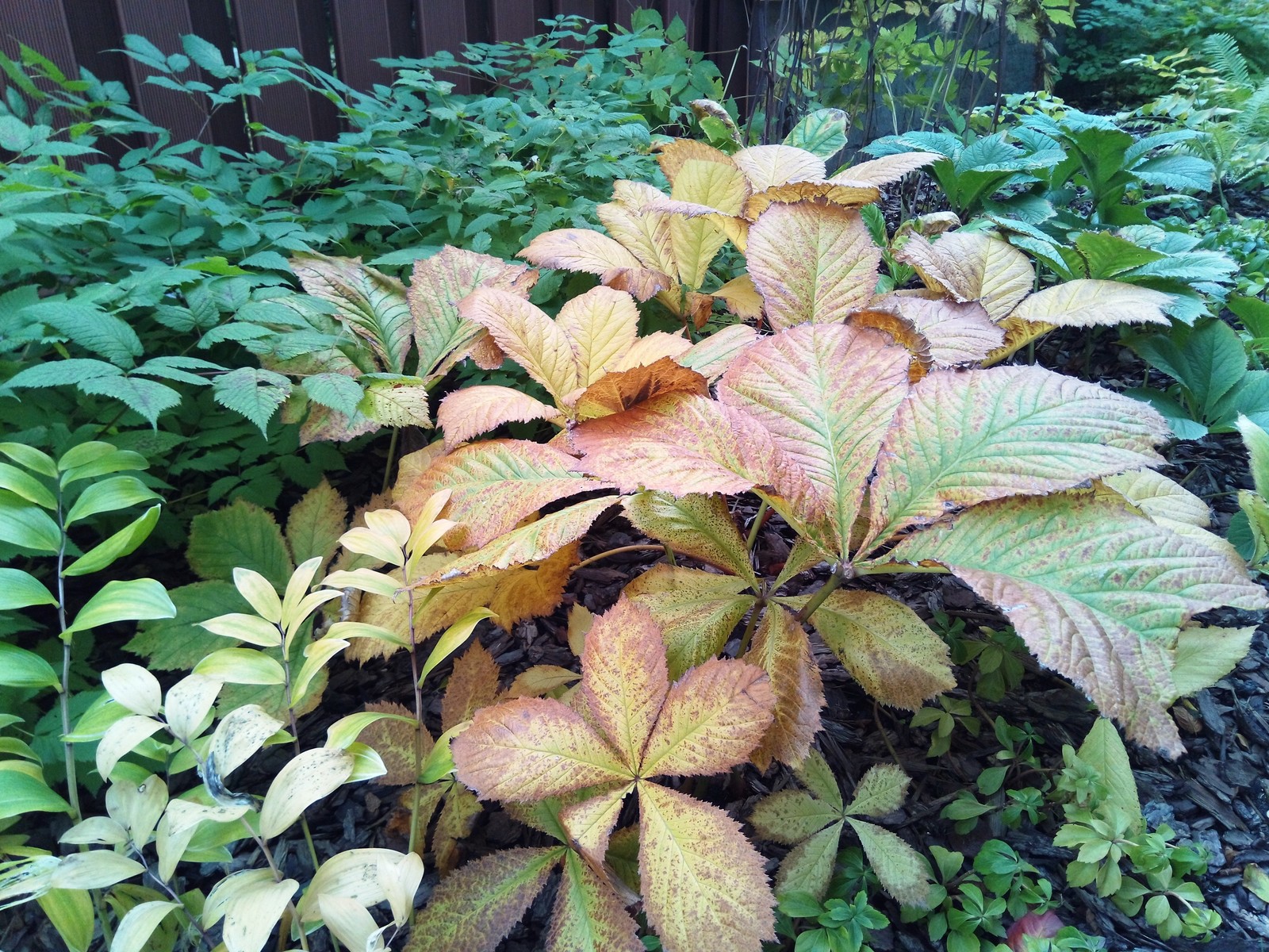 кп "Мартемьяново" - Профессиональный уход за садом - 100% качество!