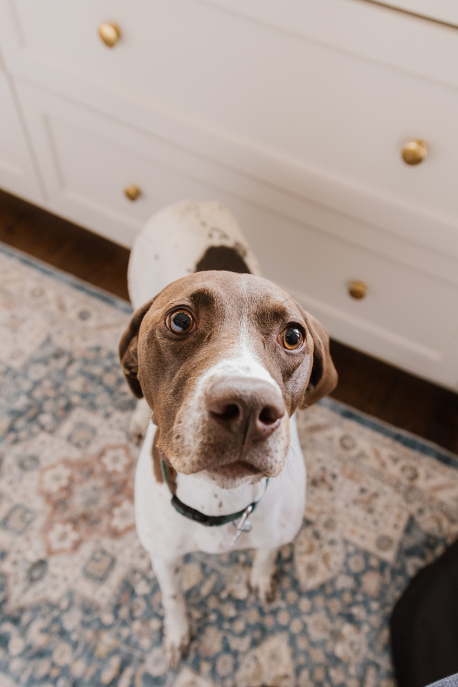 Mckinney historical restoration