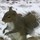 Nichole Tomes's profile image