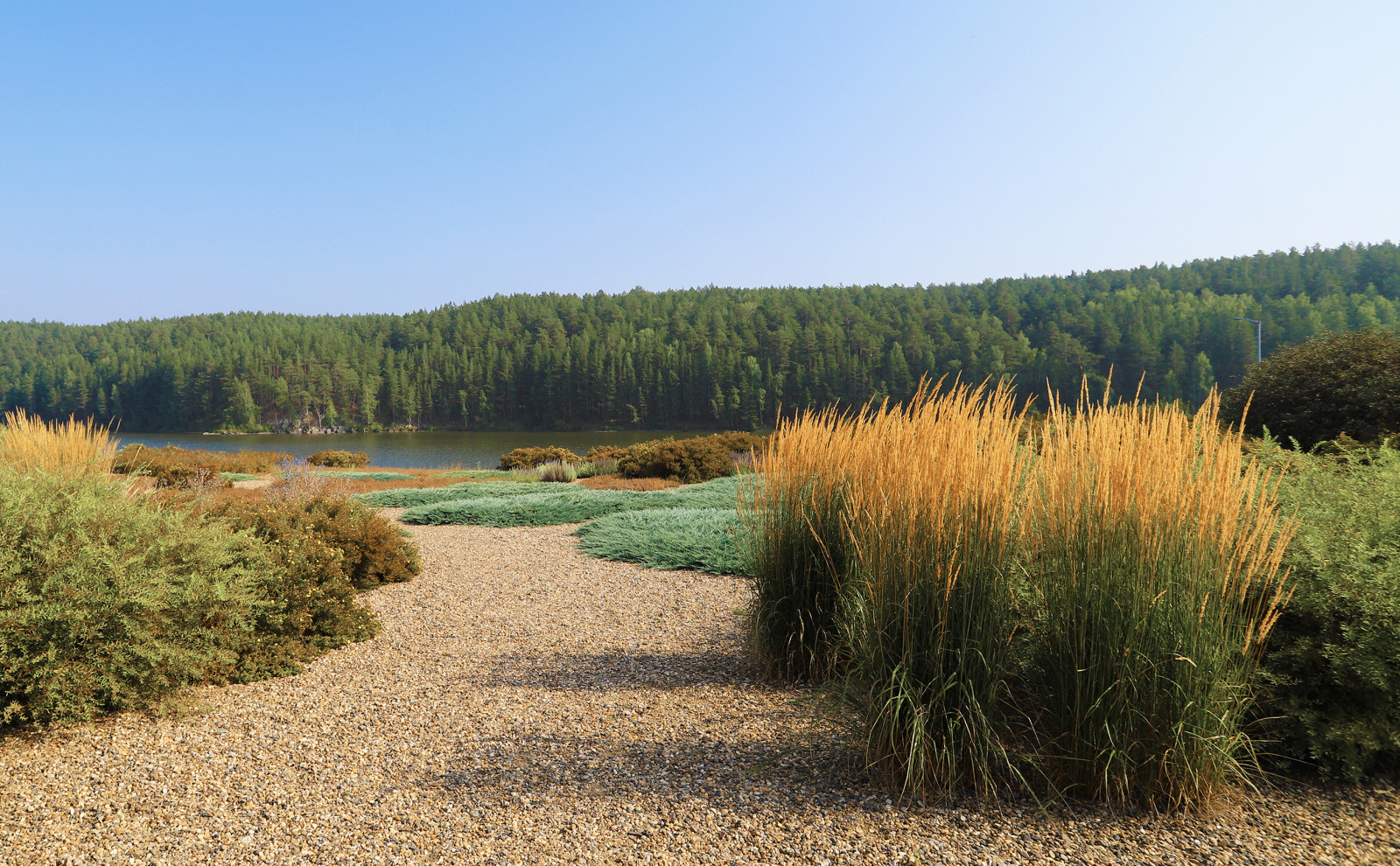 Полынный берег. Новые снимки
