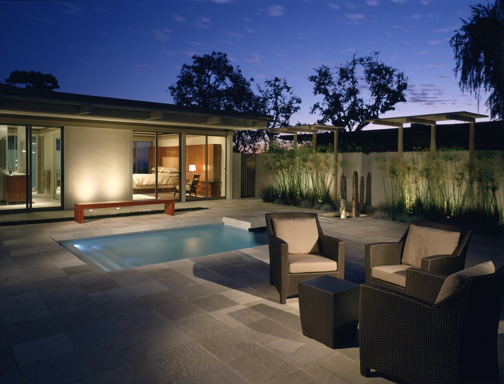 Design ideas for a modern backyard l-shaped natural pool in Los Angeles with tile.