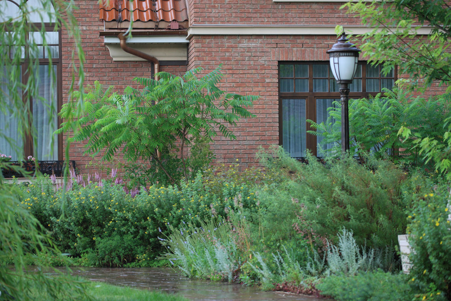 Бельгийка 01