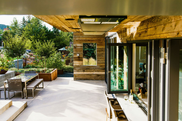 Silver Springs contemporary-garden