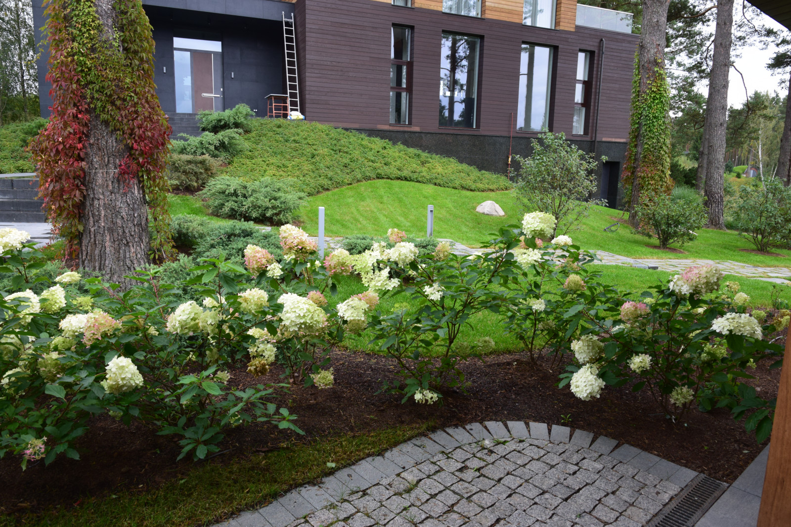 Сестроречье