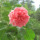 webuser_672669659