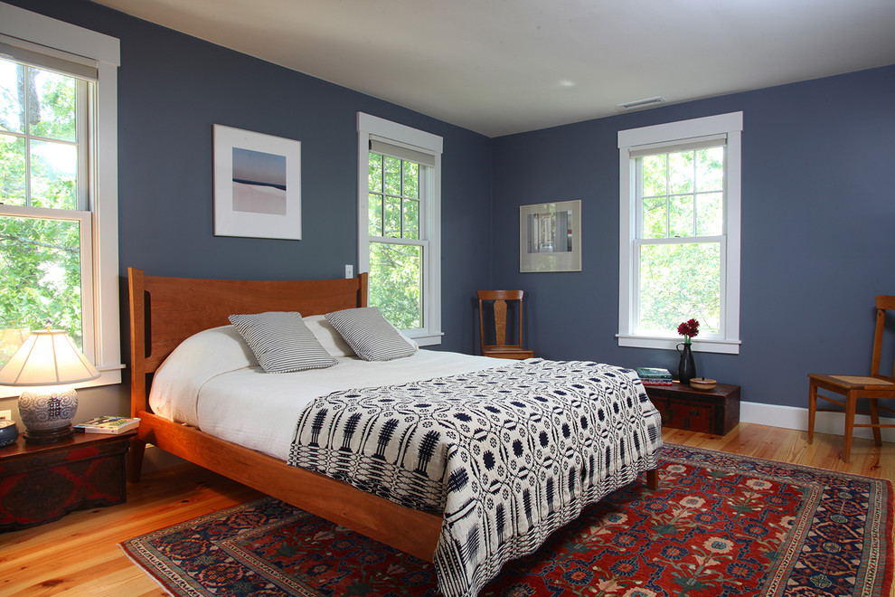 Inspiration for a mid-sized traditional bedroom in Boston with blue walls and medium hardwood floors.