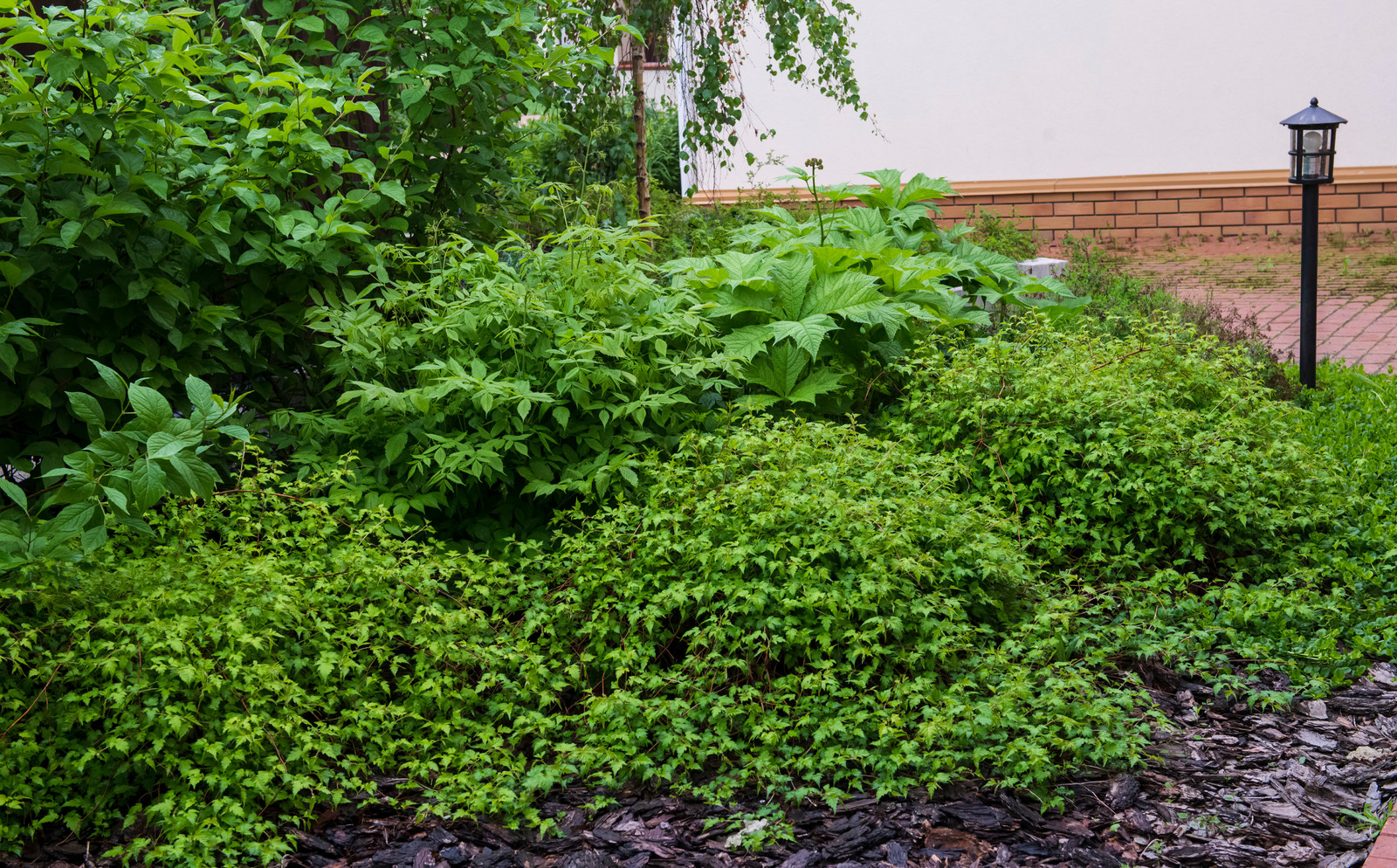 Большой сад в пригороде