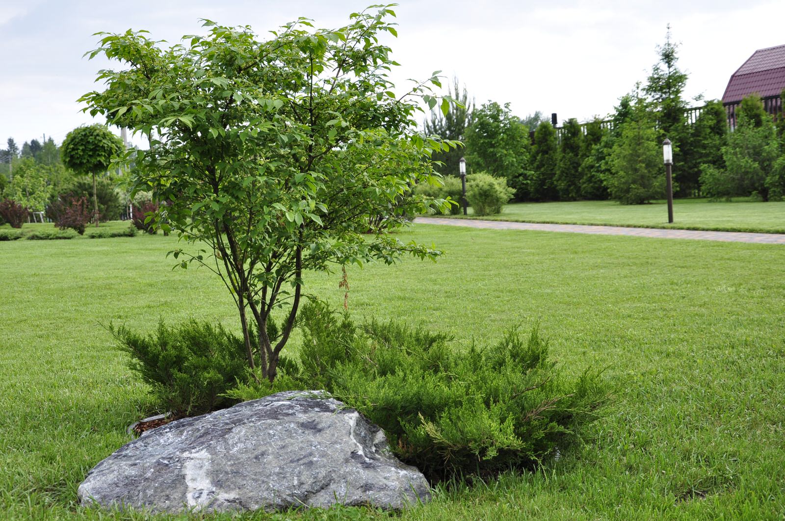 кп "Папушево" - Профессиональный уход за садом - 100% качество!