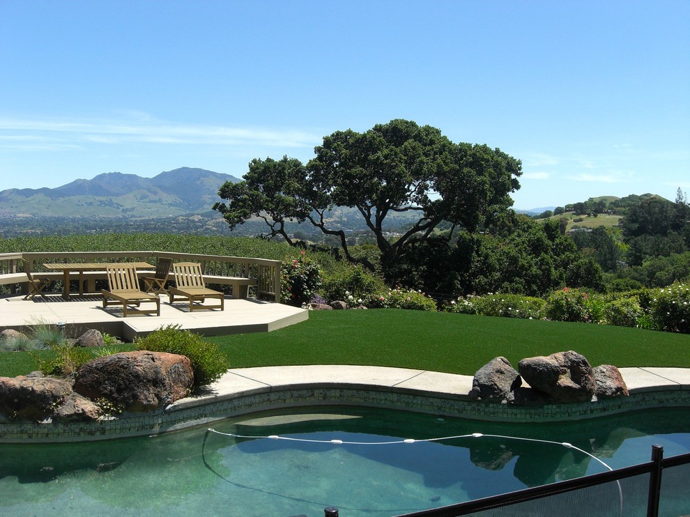 Photo of a large contemporary backyard full sun xeriscape for summer in San Francisco with concrete pavers.