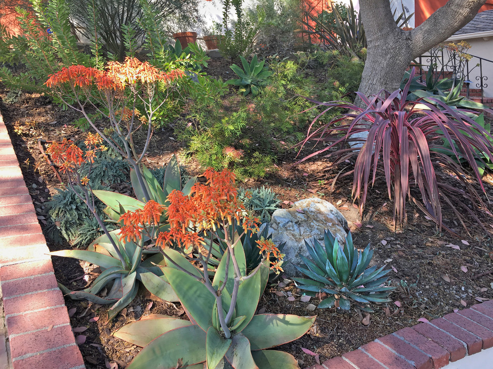Design ideas for a small mediterranean front yard shaded xeriscape for winter with mulch.