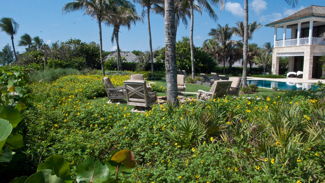 Bottlebrush trees in Treasure Coast gardens don't live long