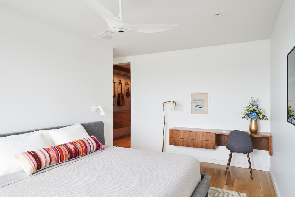 Design ideas for a medium sized modern master bedroom in Kansas City with white walls and medium hardwood flooring.