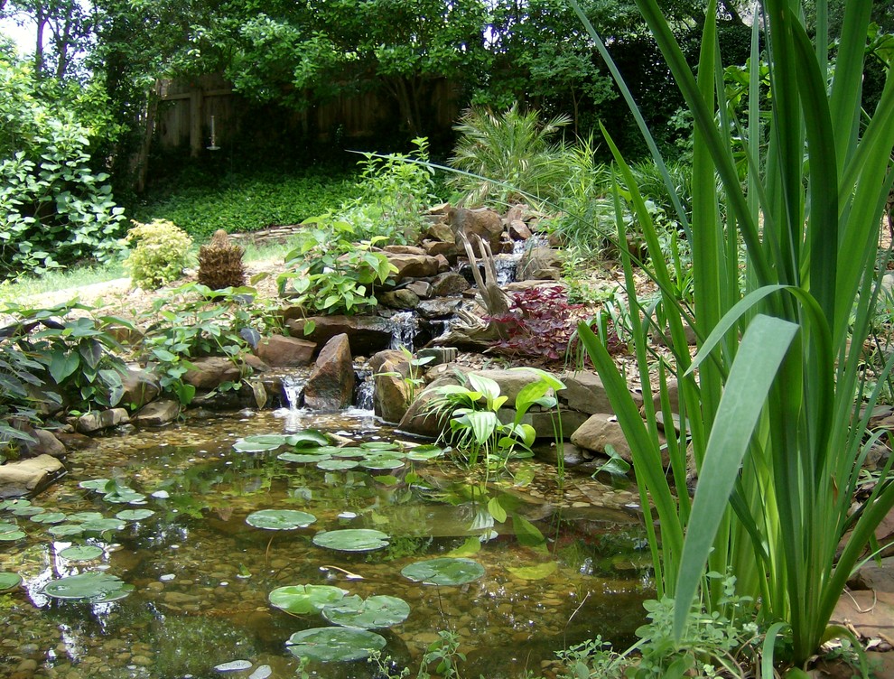 Photo of a mid-sized backyard partial sun garden in Austin with a water feature and mulch.