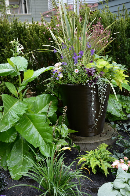 Container Gardens For Shady Spots
