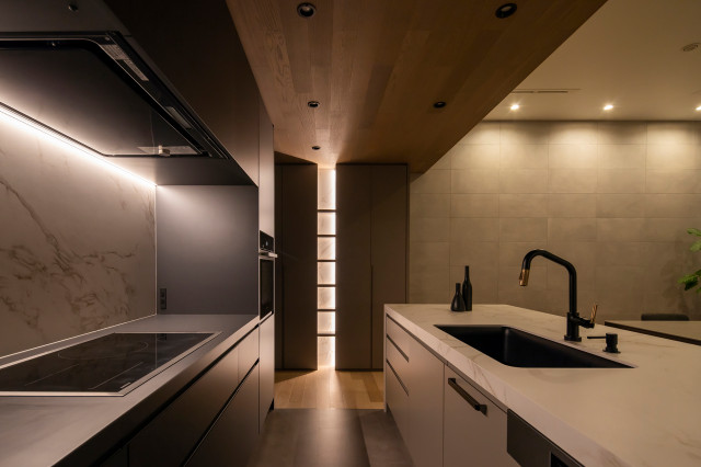 Asn-house moderne-cuisine