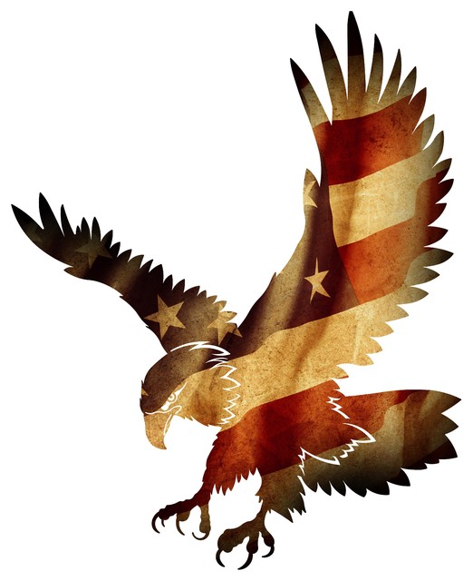Patriotic Eagle Wall Art Contemporary Metal Wall Art by Next