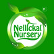 Nellickal nursery®