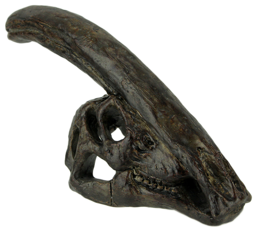 Parasaurolophus Dinosaur Head Fossil Statue Small