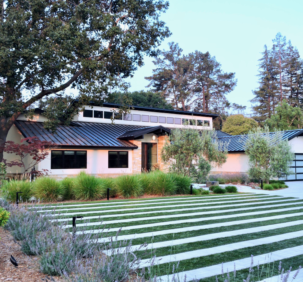 Idee per un grande giardino xeriscape moderno esposto in pieno sole in estate con recinzione in pietra