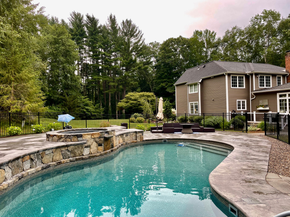 Cette image montre un piscine avec aménagement paysager arrière traditionnel en forme de haricot de taille moyenne.
