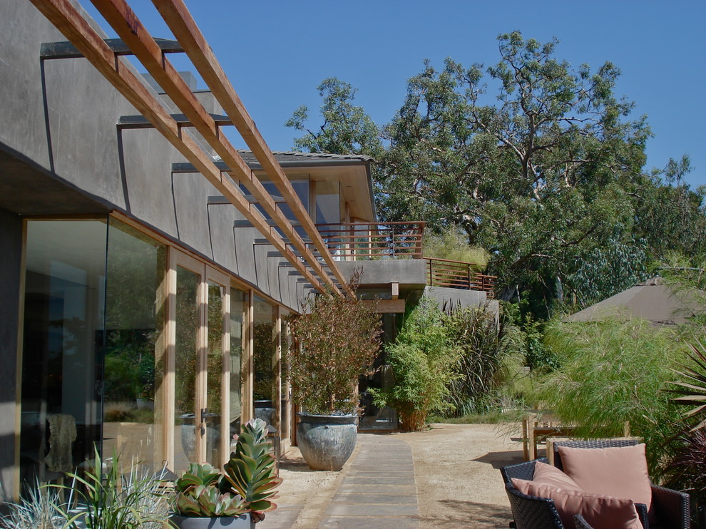 This is an example of a contemporary garden in Los Angeles with a container garden.
