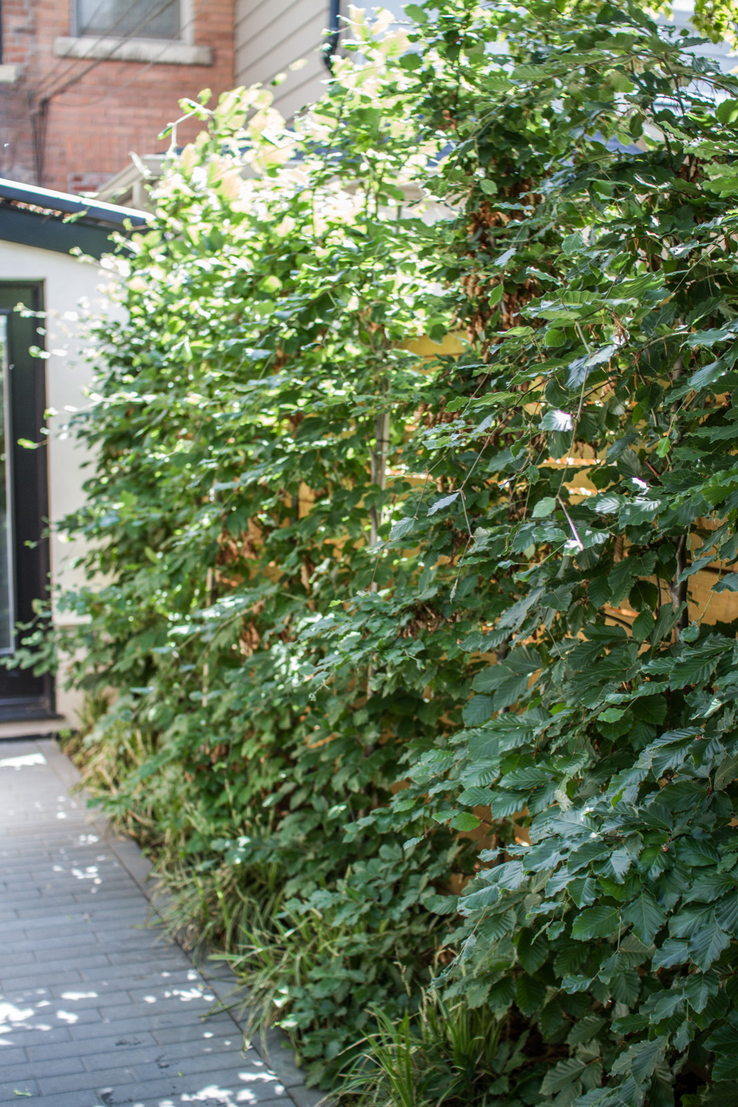 springhetti custom outdoor living on 75 Beautiful Privacy Stone Landscaping Pictures Ideas August 2020 Houzz