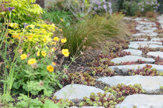 This is an example of a mid-sized backyard full sun garden in Portland with a garden path and natural stone pavers.