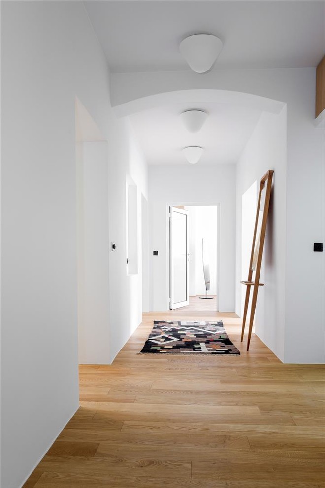 This is an example of a large midcentury hallway in Berlin with white walls, medium hardwood floors and brown floor.