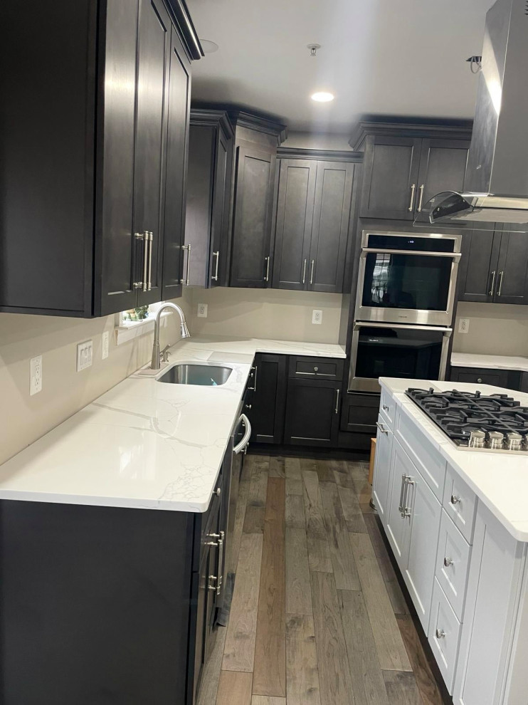 Modern Kitchen Renovation