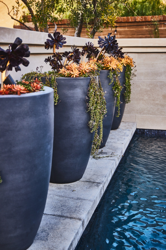 Pool - pool idea in Orange County