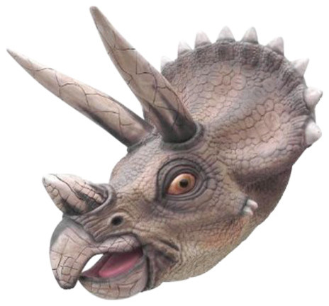 Triceratops Head 3 Life Like Wall Mount Contemporary Triceratops Head 3 Life Like Wall Mount