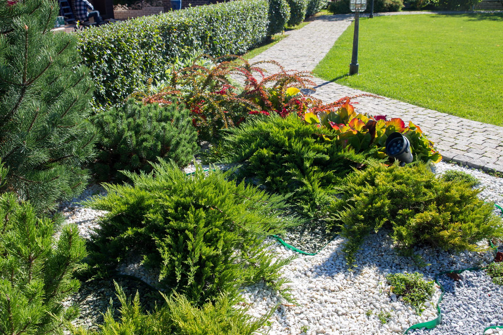 Сад на Пятницком шоссе.  Дизайнер Лариса Юрова