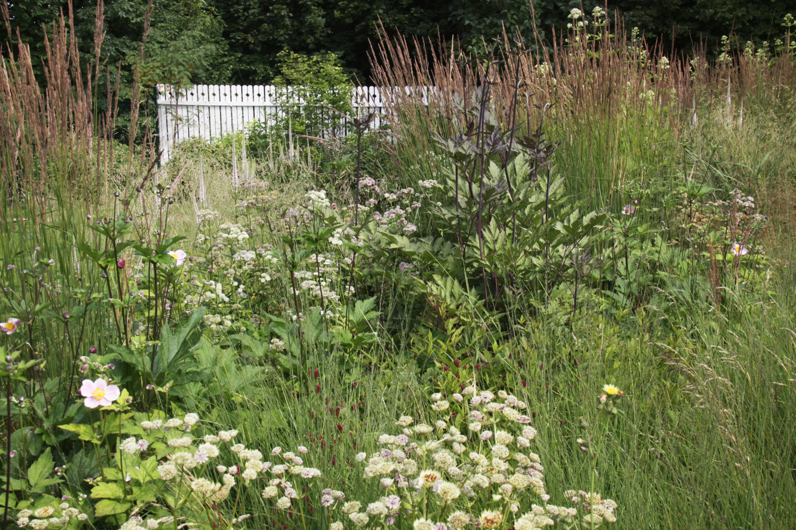 В духе ретро