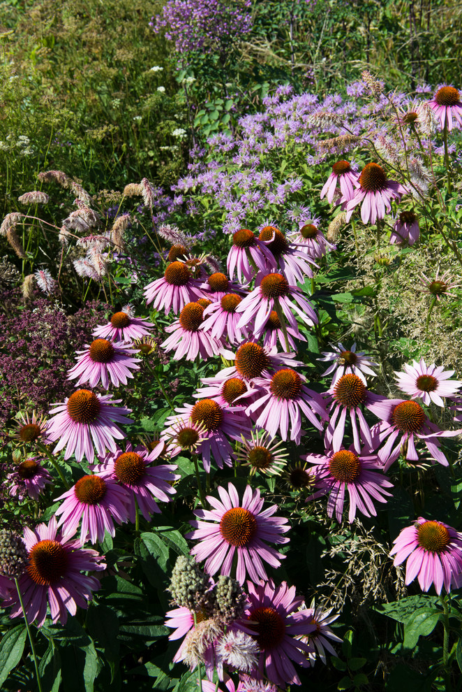 Большой сад в пригороде