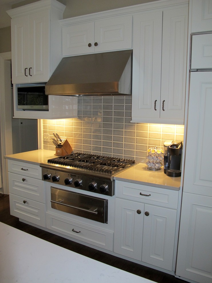 Transitional kitchen photo in Chicago
