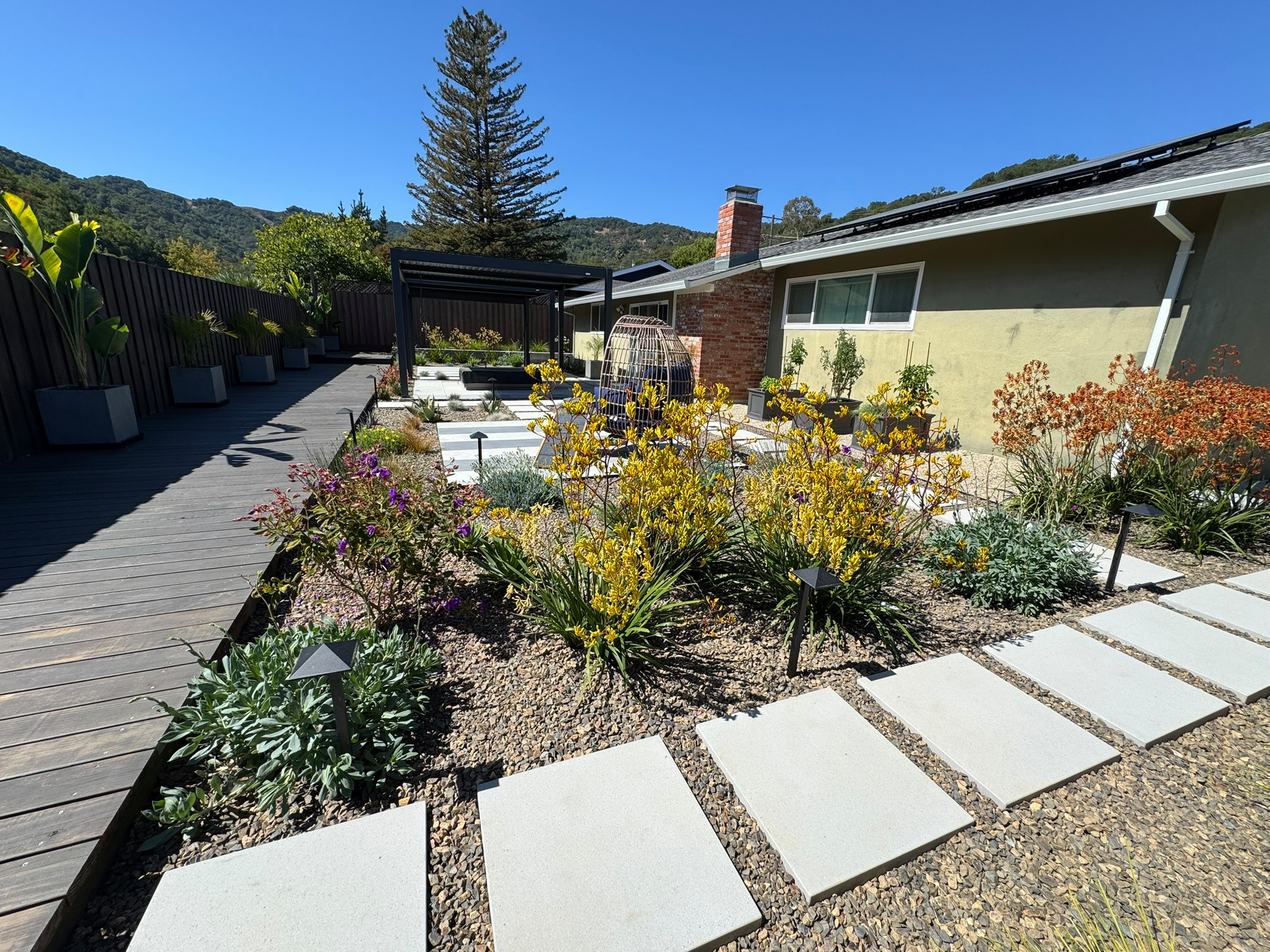 Recently Installed - Contemporary Backyard Remodel