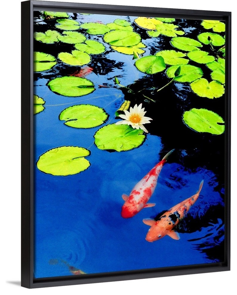 Mobel Wohnen Poster Print Wall Art Entitled Japanese Koi Bilder Drucke Avacapitalgroup Com