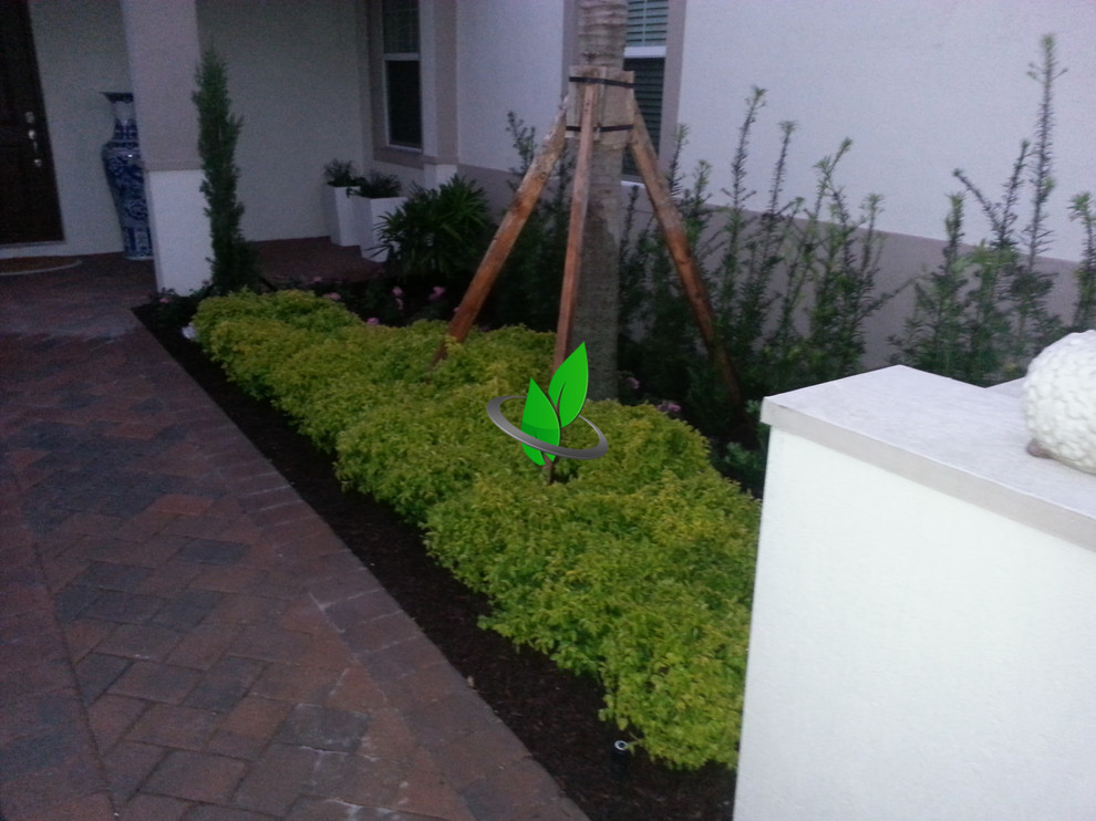 Photo of a front yard gravel landscaping.