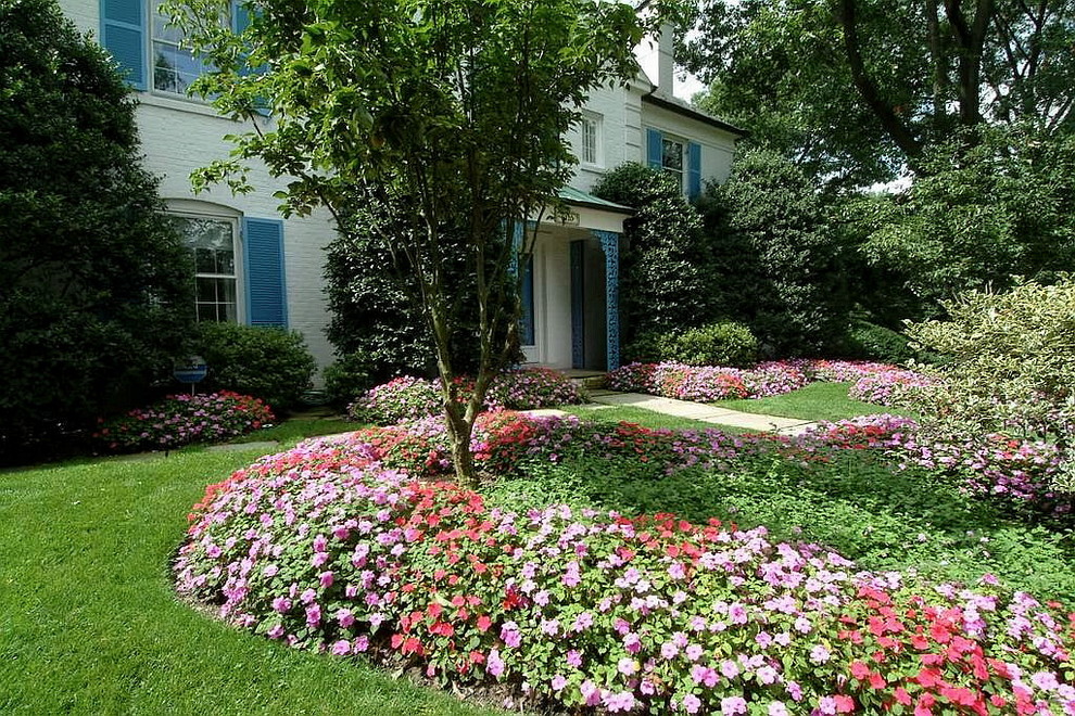 Inspiration for a large transitional partial sun front yard stone garden path in DC Metro for summer.