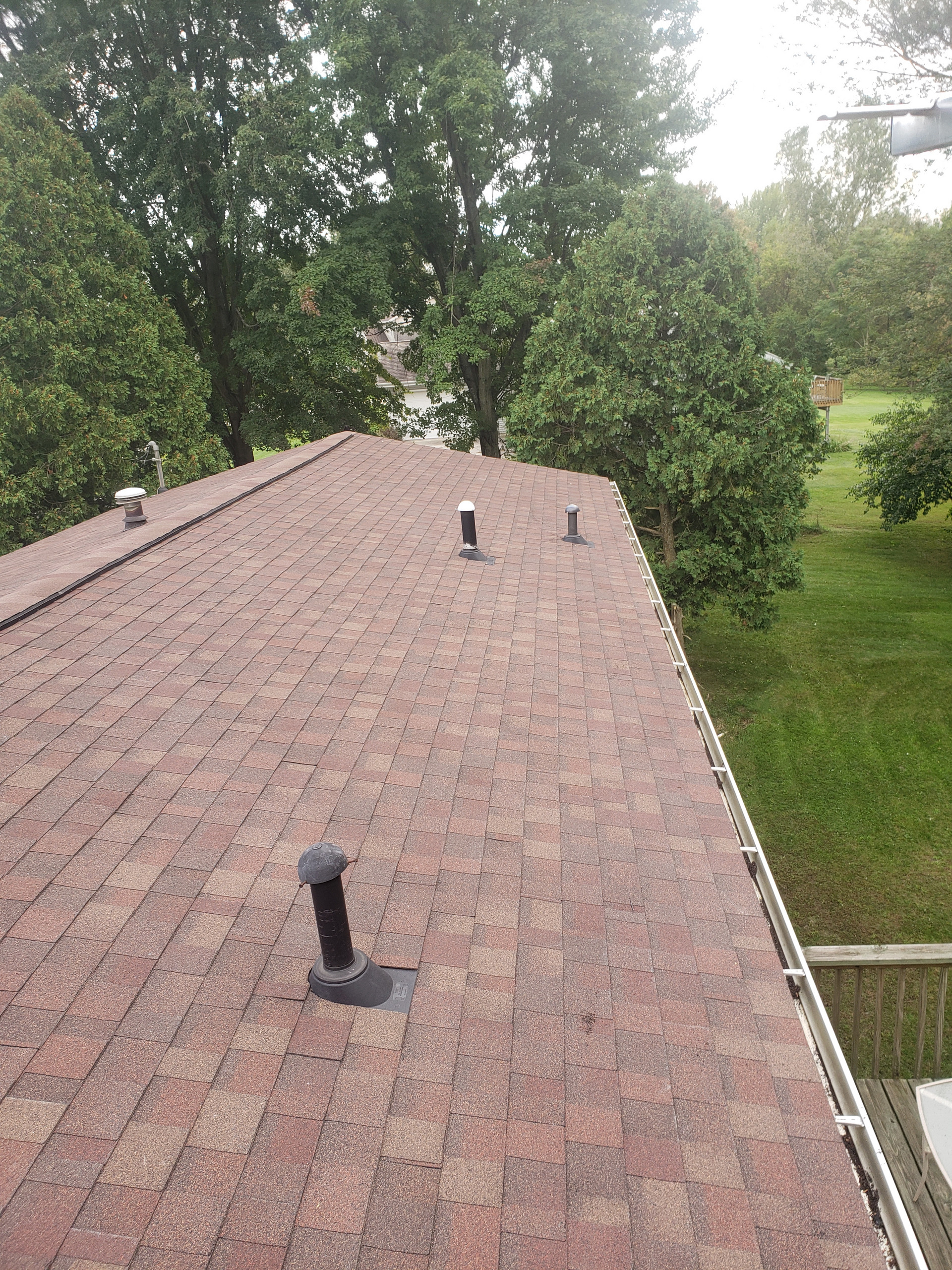 Caledonia Roof