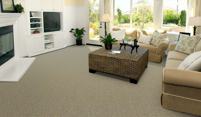 Wool Carpet - A Natural Choice - Transitional - Family Room - Seattle ...