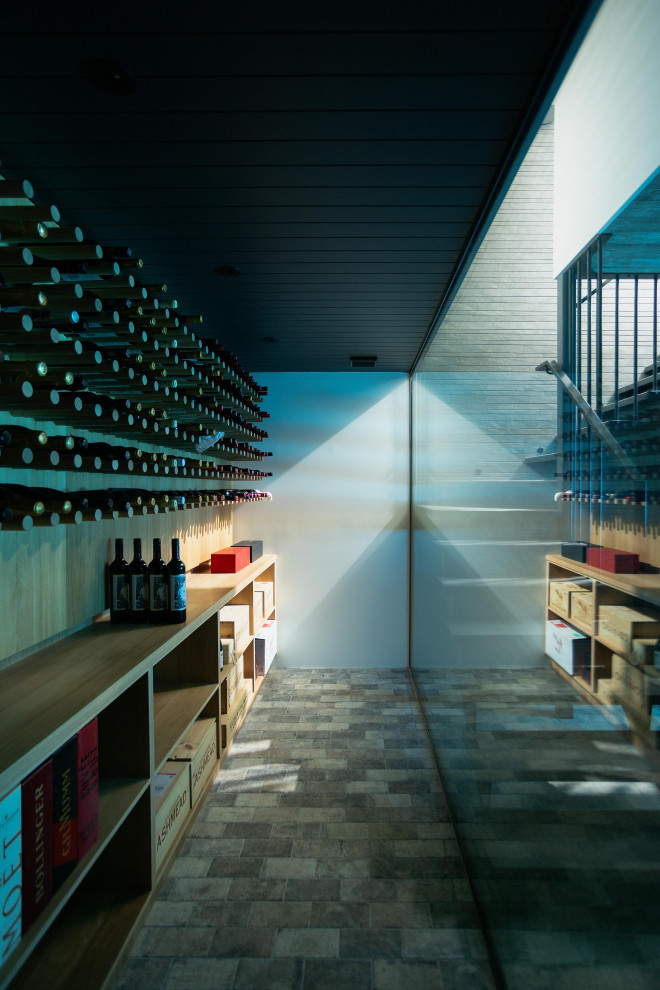 Photo of a modern wine cellar in Sunshine Coast.