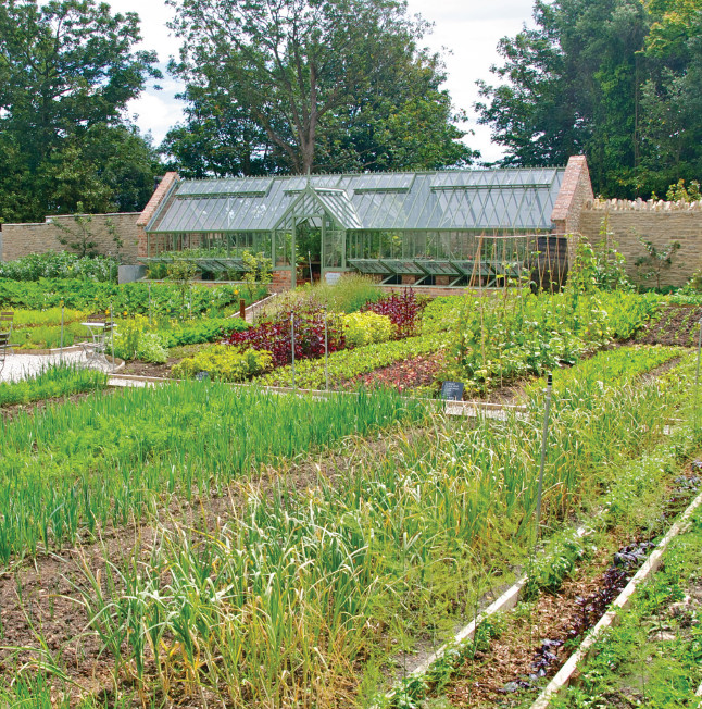 Photo of a large traditional attached greenhouse in Dorset.