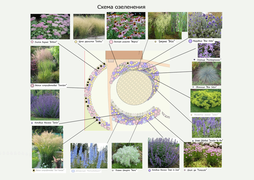Дизайн цветника