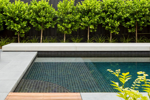 Ormond trendy-pool