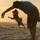 rob_aboudi