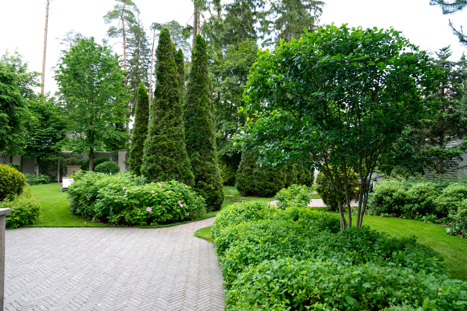 Очарование английского сада КП Балтия 2018 г