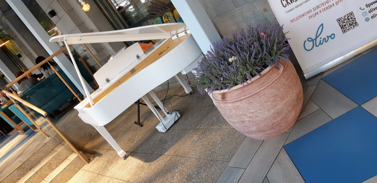 Горшки, амфора и кашпо для ресторана Olivo