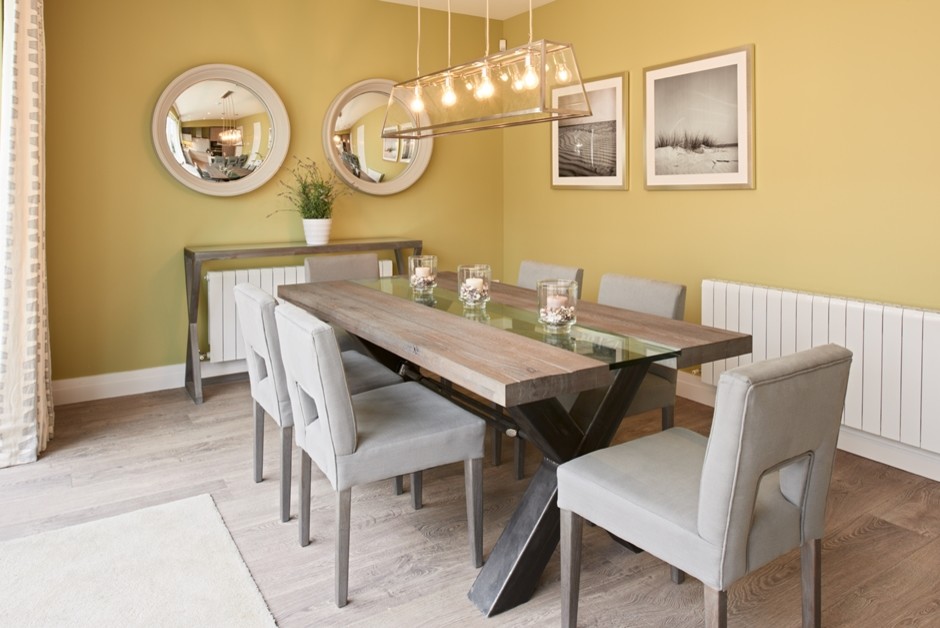 Design ideas for a contemporary dining room in Dublin.