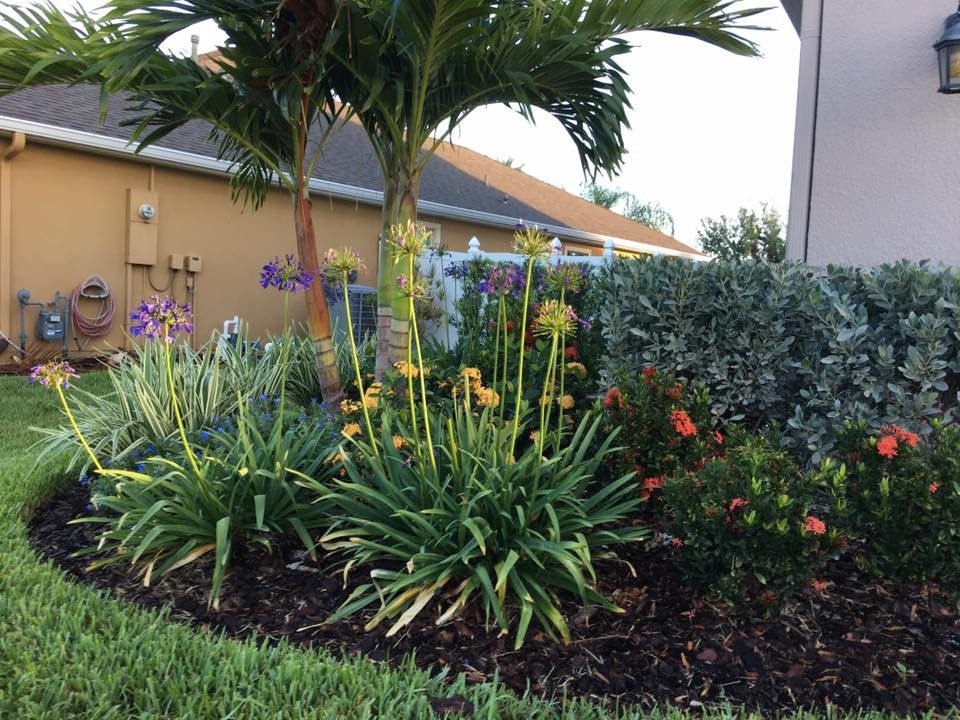 Photo of a mid-sized tropical backyard garden in Orlando.